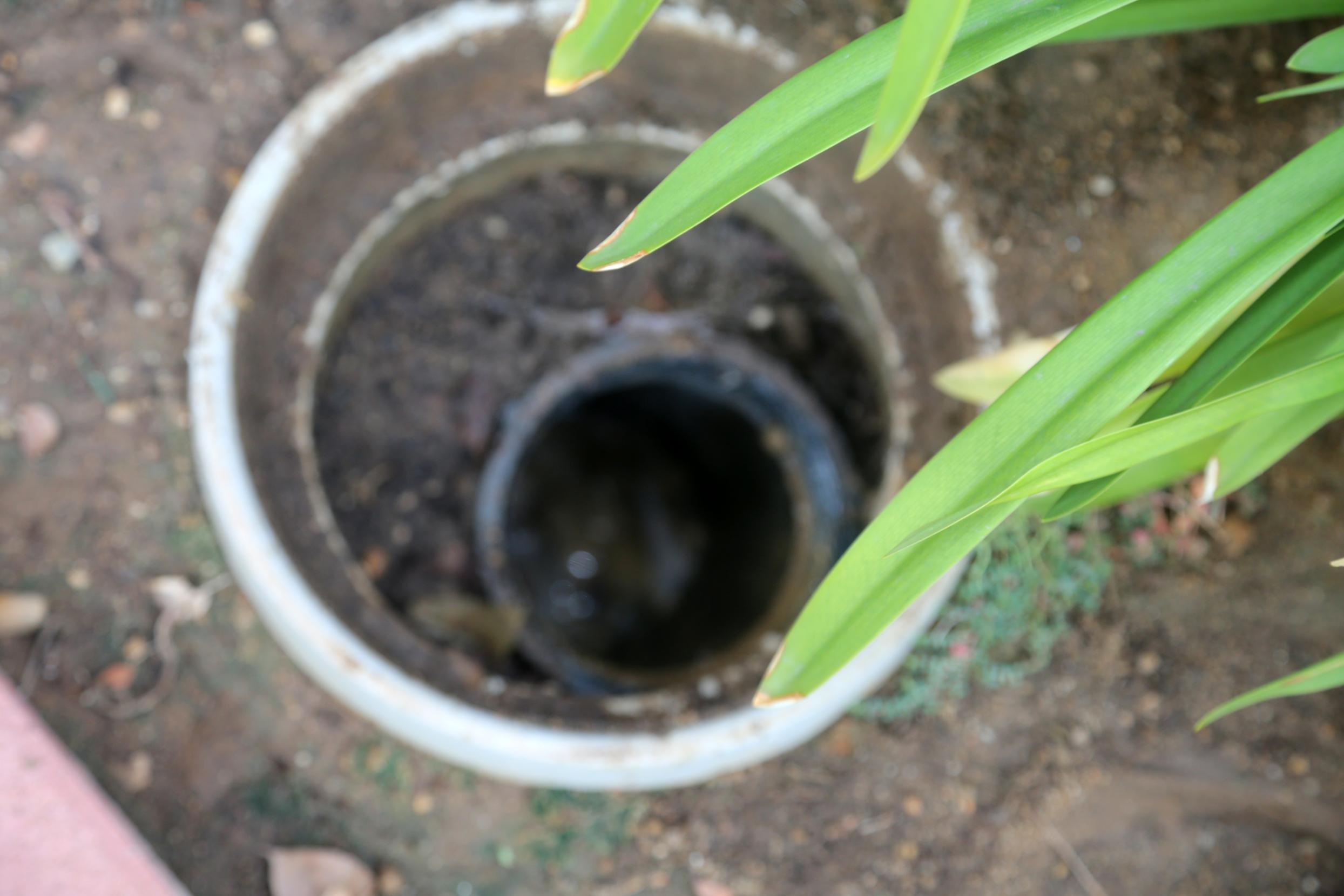 Summer Backyard Projects: Protecting Your Aurora Sub-Division Leach Field from Heavy Machinery