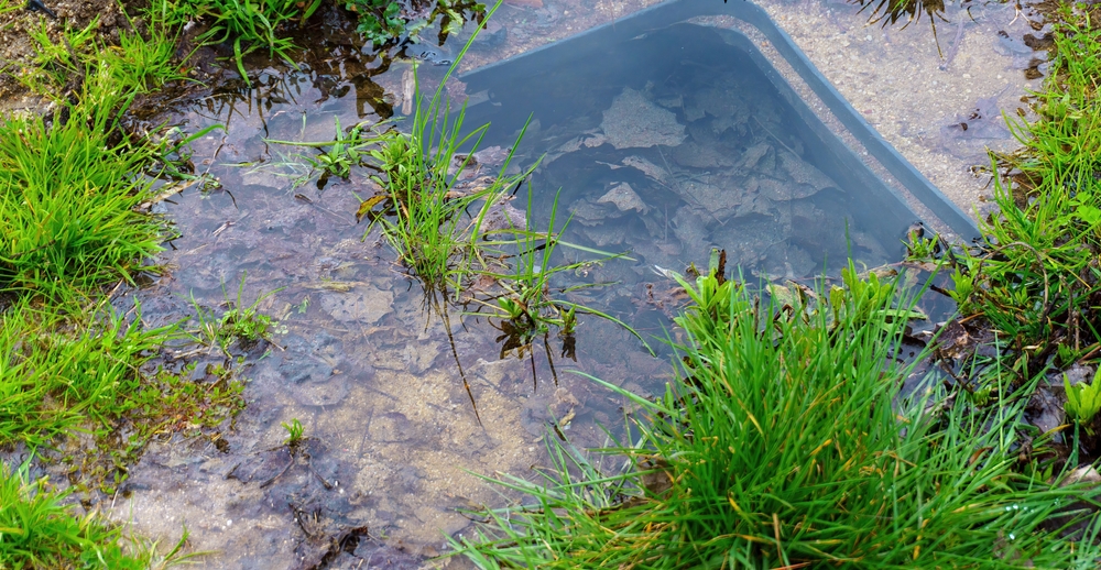How Heavy Rain and Snowmelt Affect Septic Systems in Eastern Colorado and What Homeowners Can Do